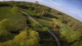 FPV Freestyle practice: basic tree dives