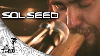 Sol Seed - Family Tree (Live Music) | Sugarshack Sessions