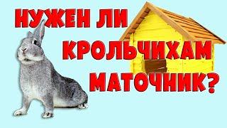 Нужен ли крольчихам маточник?