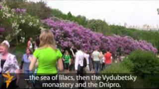 Lilac Season In Ukraine