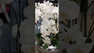 #Самара. Торговый центр Космопорт. Цветы.