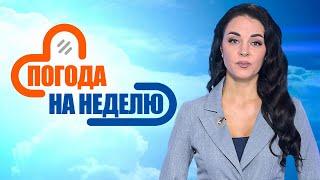 Усилятся осадки! | Погода в Беларуси с 8 по 14 декабря | Плюс-минус