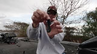 Todd Castledine on Rage Bug Modifications and How He Rigs It