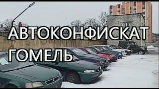 ПРИВЕТ ГОМЕЛЬ! РАСПРОДАЖА КОНФИСКОВАННЫХ АВТО, САМЫЙ ПОДРОБНЫЙ обзор СТОЯНКИ, "ВЁДРА" на ЛЮБОЙ ВКУС!