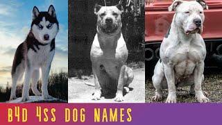 20 Coolest STRONG DOG NAMES (Male)