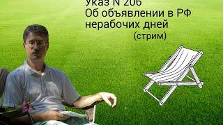 Указ N 206 Об объявлении в РФ нерабочих дней (конституционный стрим Романа Мельниченко)