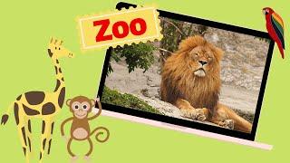 Educational Video - Zoo Animals - At the Zoo - English for Kids - Kids Vocabulary