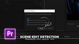 Scene Edit Detection // Premiere Pro Quick Tips