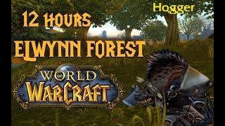 Vanilla Elwynn Forest - Music & Ambiance  - WoW  Classic  - 12 Hours