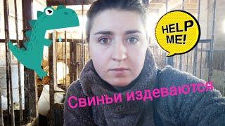 Соскучились? ушла с Ютуба ? Разочаровалась  в хозяйстве ?!