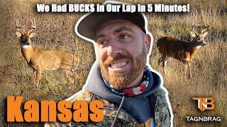 WE'RE Back in Kansas!  Bucks in our LAP in 5 Minutes of the Hunt