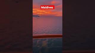 my home video #village  #india #shorts #shortvideo #youtube #tiktok #viralvideo #viral #views
