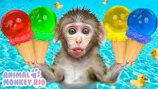 Monkey Rio makes jelly ice cream and eats it with baby monkeys in the water park | Animal Monkey Rio