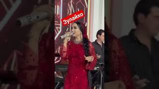 #vlog #shots #зулайхо #обунашавед #дасгири_шумо_танхо_лайк_гузоштан