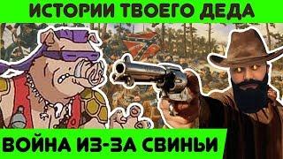 ВОЙНА из-за СВИНЬИ - Истории Твоего Деда