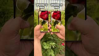 Iphone 13 Pro vs Iphone 14 Pro Camera Test #apple #iphone #shorts