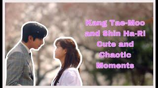 Kang Tae Moo and Shin Ha Ri cute and Chaotic Moments | Business Proposal