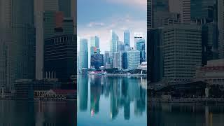My Video