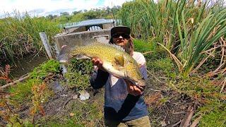 Fishing Melbourne's SECRET URBAN DRAINAGE SYSTEMS For GIANT Fish!