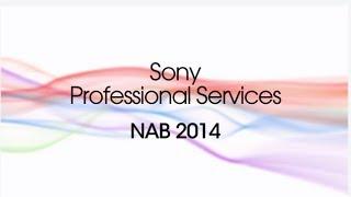 Sony Professional Services