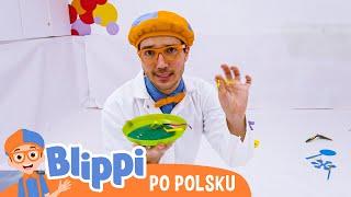 Naucz się malować z BlippiBlippi po polskuNauka i zabawa dla Dzieci