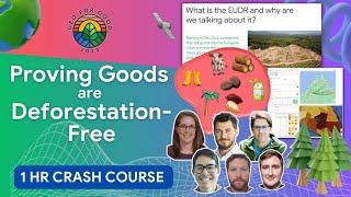 Understanding the EU Deforestation Regulation & the role of geospatial data | Geo for Good 2023