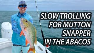 Catching Mutton Snapper in the Abacos with Gemlux