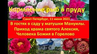 В саду у матушки Мануилы.Кормление рыб в пруду.Приход храма св. Алексия, Человека Божия в Горелово