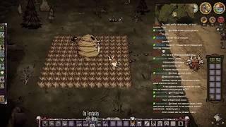 Don't Starve Together Убийство босса пчелы соло за бабку