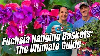 Fuchsia Hanging Baskets: The Ultimate Guide