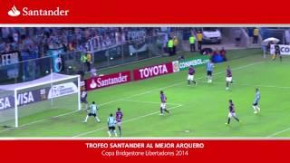 Sebastián Torrico Mejor Arquero de la Copa Bridgestone Libertadores 2014