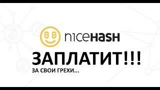 NiceHash ЗАПЛАТИТ за свои грехи! Выплата пришла через час! На чём сейчас майнить?! Делюсь опытом!