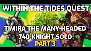 Within the Tides Quest - Timira the Many-Headed - 740 Knight Solo