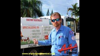 AAA PEST CONTROL T.A.P. INSULATION