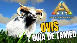 Como tamear Ovis en Ark Survival. Guía de tameo de Ark Ultimate Survivor Edition.