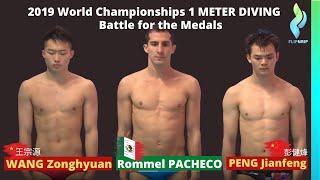 2019 RE-LIVE  World Diving 1 meter - Zongyuan Wang 王宗源 - Rommel Pacheco & Jianfeng Peng 彭健烽