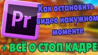 ADOBE PREMIERE PRO. СТОП КАДР. КАК ОСТАНОВИТЬ ВИДЕО НА НУЖНОМ МОМЕНТЕ