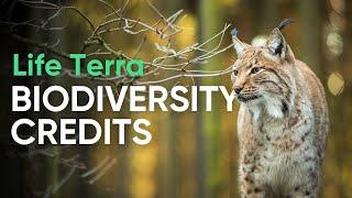 Life Terra's Biodiversity Credits & Ecosystem Restoration (Explained)