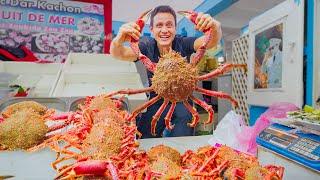 Morocco Street Food!!  SPIDER CRAB + Best Moroccan Food in Casablanca!