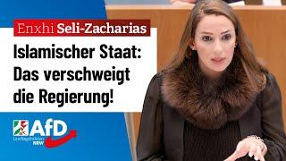 Islamischer Staat: Das verschweigt die Regierung! – Enxhi Seli-Zacharias (AfD)