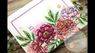 SSS Beautiful Flowers 2 Take 2 | Distress Inks & Copic Markers