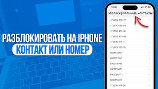 Как разблокировать контакт или номер на iPhone?