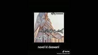 novels ki deewani