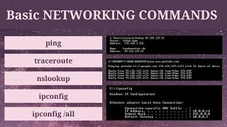 Basic Networking commands | Beginners commands for Network troubleshooting