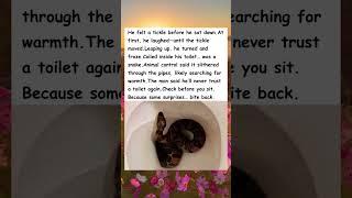 Snake In A Toilet!!      #wholesome #snake