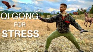 Qigong for Stress | Building Resilience | Wood Element Chi Kung for Stress, Anger, Manic Depression