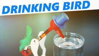 How a drinking bird toy works