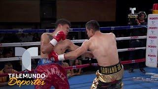 Espectacular KO de César Soriano deja en la lona a Martín Escamilla | Boxeo Telemundo