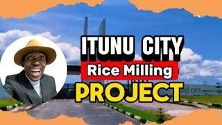 ITUNU CITY RICE MILLING Project Report | Ibeju Lekki Lagos Nigeria