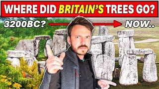 What REALLY Happened to Britain’s Ancient Woodlands?